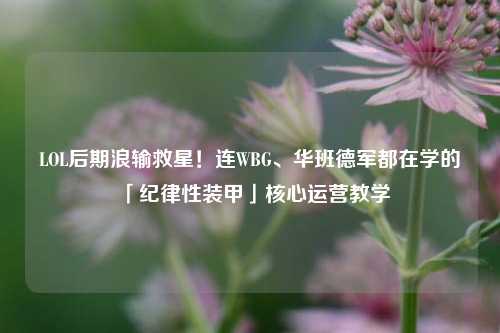 LOL后期浪输救星！连WBG、华班德军都在学的「纪律性装甲」核心运营教学