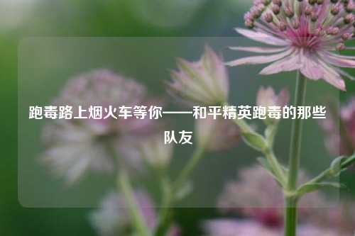 跑毒路上烟火车等你——和平精英跑毒的那些队友
