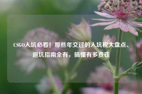 CSGO入坑必看!那些年交过的入坑税大盘点、避坑指南全有,搞懂有多费钱