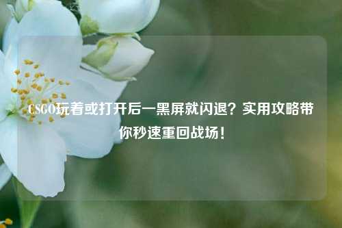CSGO玩着或打开后一黑屏就闪退？实用攻略带你秒速重回战场！