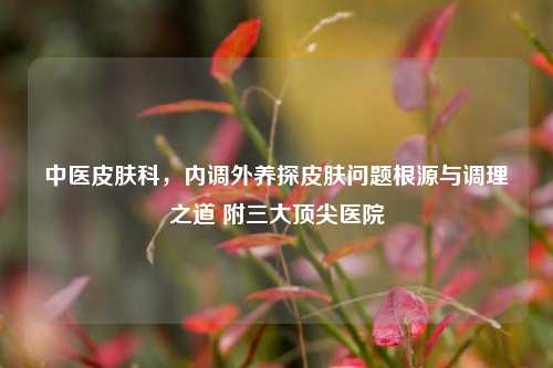 中医皮肤科，内调外养探皮肤问题根源与调理之道 附三大顶尖医院