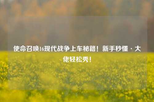 使命召唤16现代战争上车秘籍！新手秒懂·大佬轻松秀！