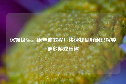 保姆级Steam组查询教程!快速找同好组织解锁更多游戏乐趣