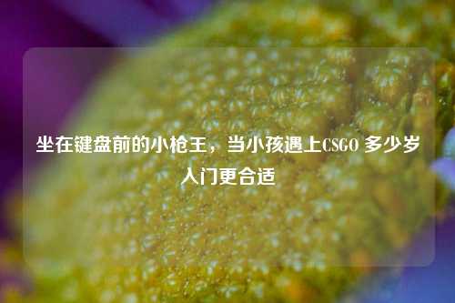 坐在键盘前的小枪王，当小孩遇上CSGO 多少岁入门更合适