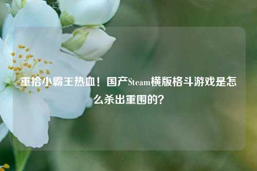 重拾小霸王热血!国产Steam横版格斗游戏是怎么杀出重围的?