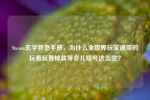 Steam玄学救急手册,为什么全世界玩家通用的玩着玩着掉就等会儿暗号这么灵?
