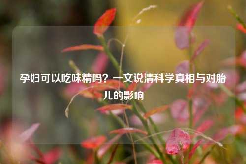 孕妇可以吃味精吗？一文说清科学真相与对胎儿的影响