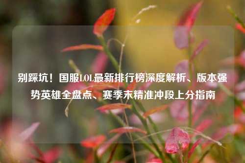别踩坑!国服LOL最新排行榜深度解析、版本强势英雄全盘点、赛季末精准冲段上分指南