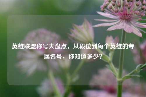 英雄联盟称号大盘点,从段位到每个英雄的专属名号,你知道多少?