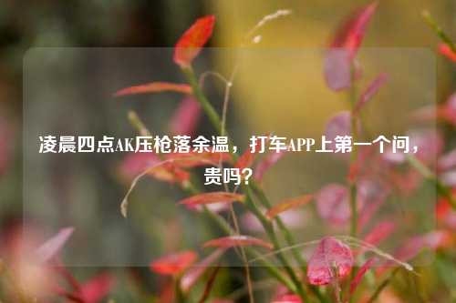 凌晨四点AK压枪落余温,打车APP上之一个问,贵吗?
