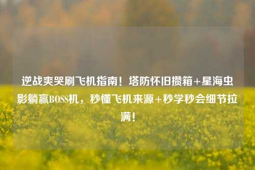 逆战爽哭刷飞机指南！塔防怀旧攒箱+星海虫影躺赢BOSS机，秒懂飞机来源+秒学秒会细节拉满！