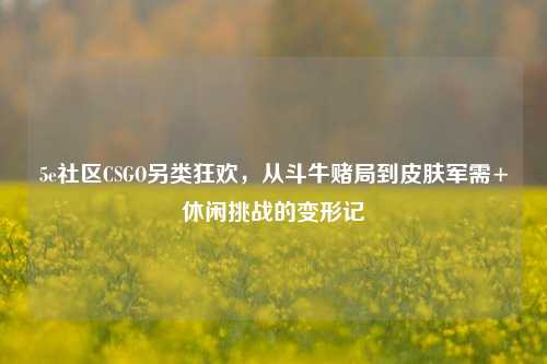 5e社区CSGO另类狂欢,从斗牛赌局到皮肤军需+休闲挑战的变形记