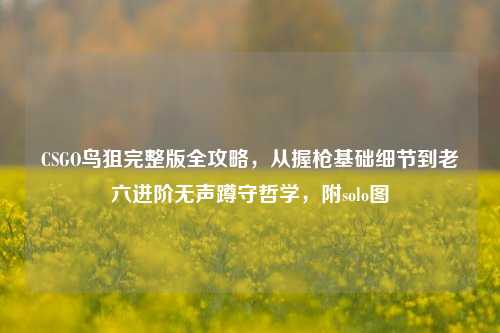 CSGO鸟狙完整版全攻略，从握枪基础细节到老六进阶无声蹲守哲学，附solo图