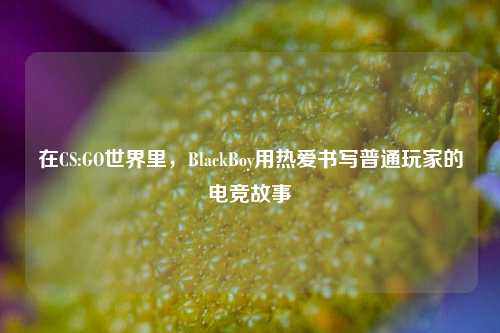 在CS:GO世界里，BlackBoy用热爱书写普通玩家的电竞故事