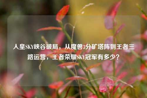 人皇SKY峡谷破局,从魔兽3分矿塔阵到王者三路运营,王者荣耀SKY冠军有多少?