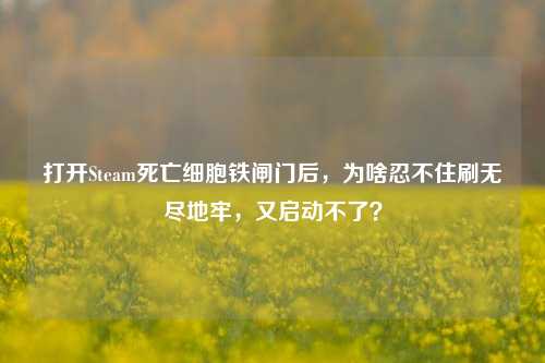 打开Steam死亡细胞铁闸门后,为啥忍不住刷无尽地牢,又启动不了?