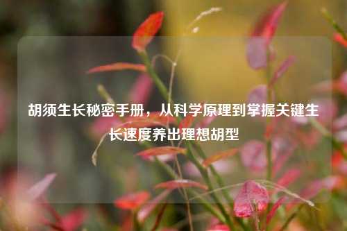 胡须生长秘密手册，从科学原理到掌握关键生长速度养出理想胡型