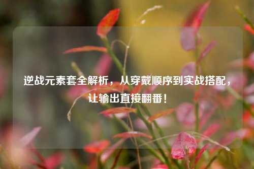 逆战元素套全解析，从穿戴顺序到实战搭配，让输出直接翻番！