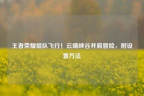 王者荣耀组队飞行！云端峡谷并肩冒险，附设置 *** 