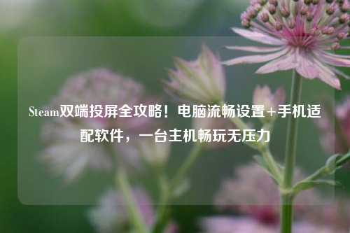 Steam双端投屏全攻略!电脑流畅设置+手机适配软件,一台主机畅玩无压力