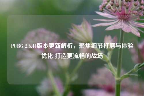 PUBG 2.6.44版本更新解析,聚焦细节打磨与体验优化 打造更流畅的战场