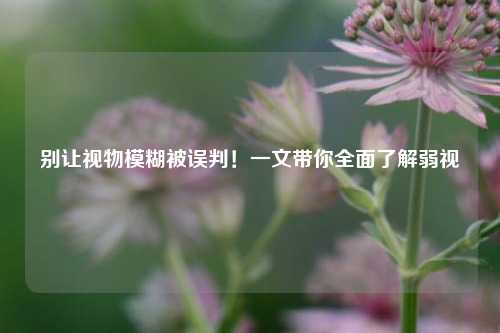 别让视物模糊被误判！一文带你全面了解弱视