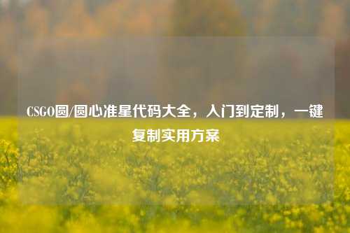 CSGO圆/圆心准星代码大全,入门到定制,一键***实用方案
