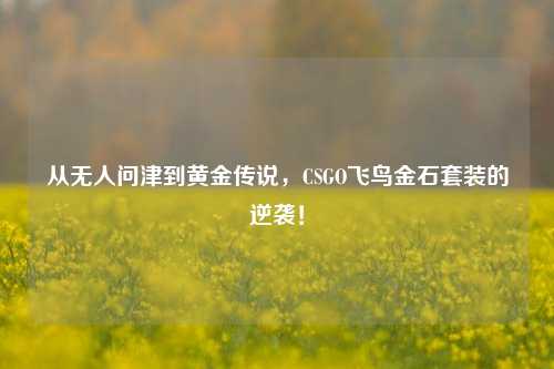 从无人问津到黄金传说，CSGO飞鸟金石套装的逆袭！
