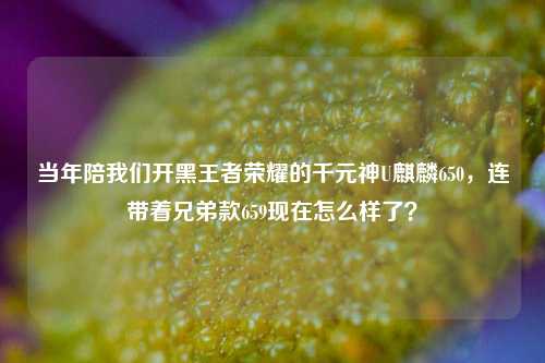 当年陪我们开黑王者荣耀的千元神U麒麟650,连带着兄弟款659现在怎么样了?