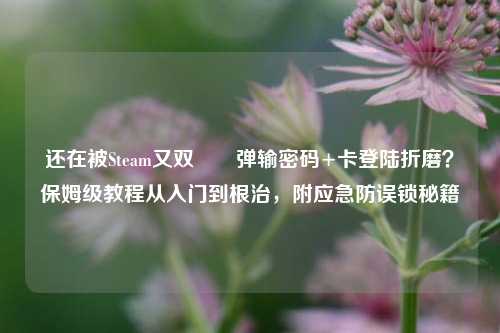 还在被Steam又双叒叕弹输密码+卡登陆折磨？保姆级教程从入门到根治，附应急防误锁秘籍