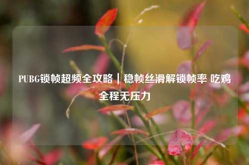 PUBG锁帧超频全攻略|稳帧丝滑解锁帧率 吃鸡全程无压力