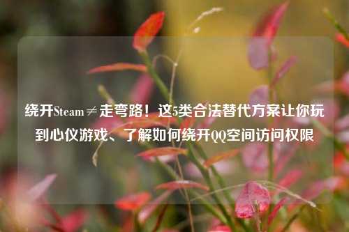 绕开Steam≠走弯路!这5类合法替代方案让你玩到心仪游戏、了解如何绕开 *** 空间访问权限