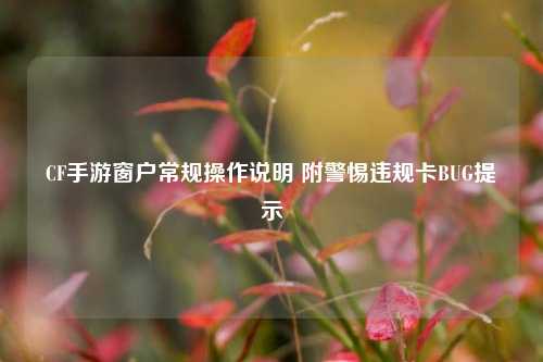 CF手游窗户常规操作说明 附警惕违规卡BUG提示