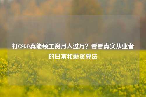 打CSGO真能领工资月入过万?看看真实从业者的日常和薪资算法