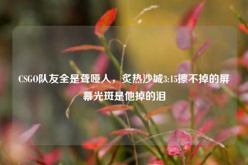 CSGO队友全是聋哑人，炙热沙城3:15擦不掉的屏幕光斑是他掉的泪