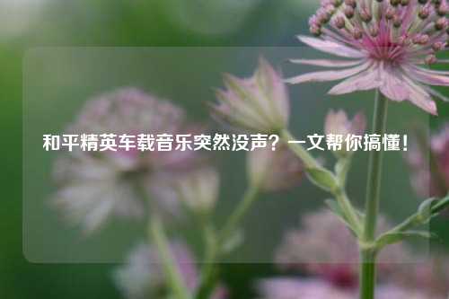 和平精英车载音乐突然没声？一文帮你搞懂！