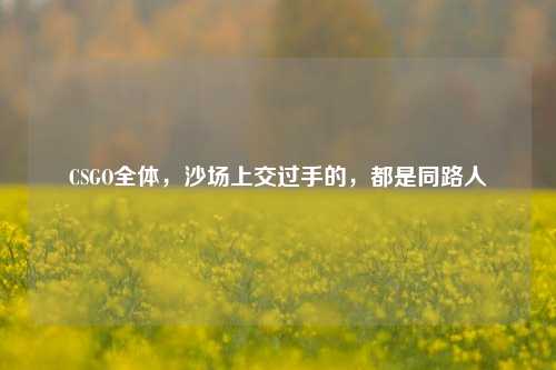 CSGO全体,沙场上交过手的,都是同路人