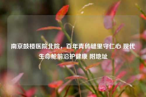 南京鼓楼医院北院，百年青砖缝里守仁心 现代生命舱前沿护健康 附地址