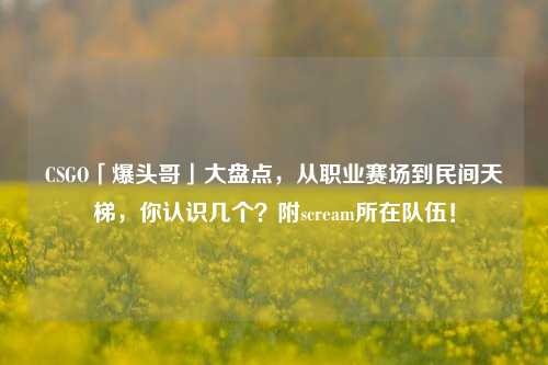 CSGO「爆头哥」大盘点，从职业赛场到民间天梯，你认识几个？附scream所在队伍！