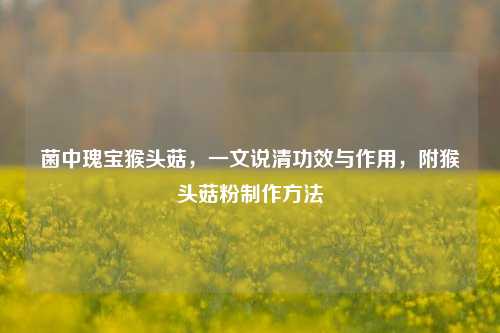 菌中瑰宝猴头菇，一文说清功效与作用，附猴头菇粉 ***  *** 