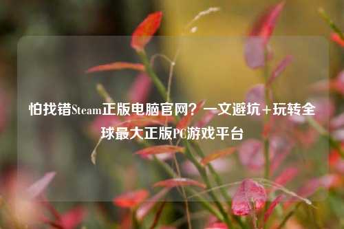 怕找错Steam正版电脑官网?一文避坑+玩转全球更大正版PC游戏平台