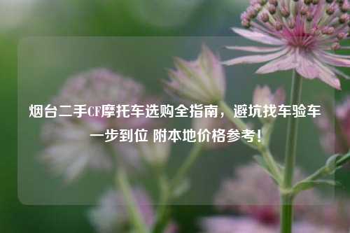 烟台二手CF摩托车选购全指南,避坑找车验车一步到位 附本地价格参考!