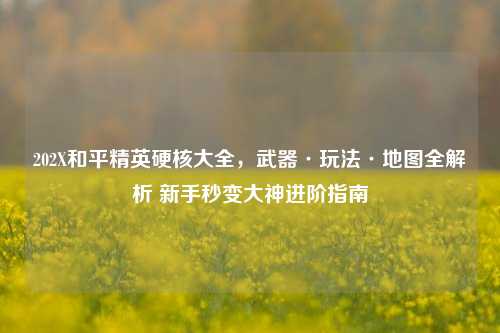 202X和平精英硬核大全,武器·玩法·地图全解析 新手秒变大神进阶指南