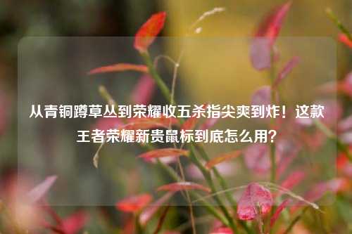 从青铜蹲草丛到荣耀收五杀指尖爽到炸！这款王者荣耀新贵鼠标到底怎么用？