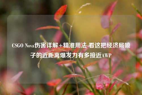 CSGO Nova伤害详解+精准用法 看这把经济局喷子的近距离爆发力有多接近AWP