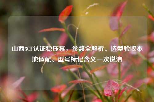 山西3CF认证稳压泵,参数全解析、选型验收本地适配、型号标记含义一次说清