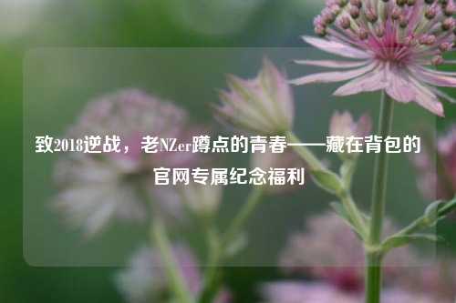 致2018逆战,老NZer蹲点的青春——藏在背包的官网专属纪念福利