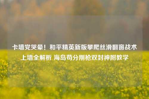卡墙党哭晕！和平精英新版攀爬丝滑翻窗战术上墙全解析 海岛苟分刚枪双封神附教学