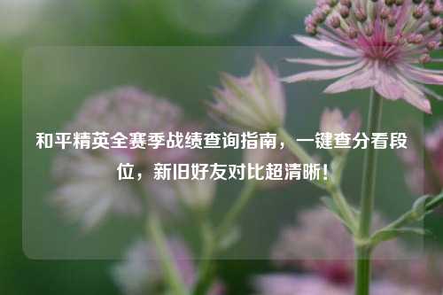 和平精英全赛季战绩查询指南,一键查分看段位,新旧好友对比超清晰!