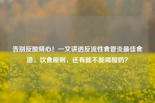 告别反酸烧心!一文讲透反流性食管炎更佳食谱、饮食原则,还有能不能喝酸奶?